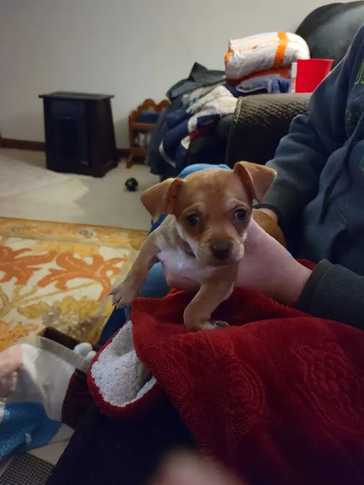 Taylor Animal Hospital Of Smithville Picture 1