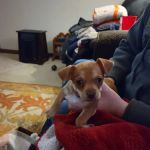 Taylor Animal Hospital Of Smithville