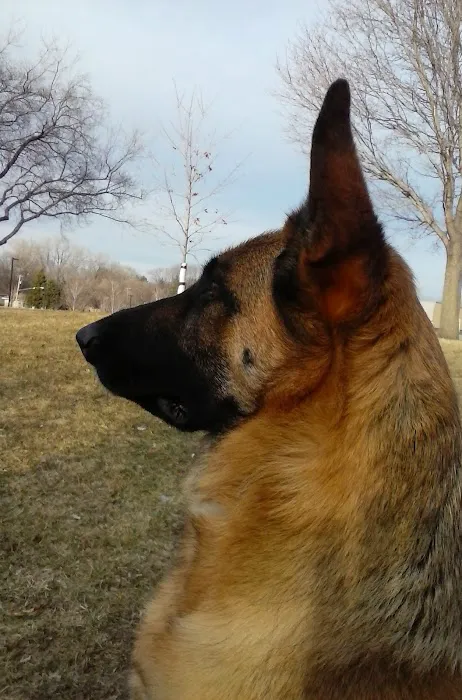 Taylor Animal Hospital Of Smithville Picture 5