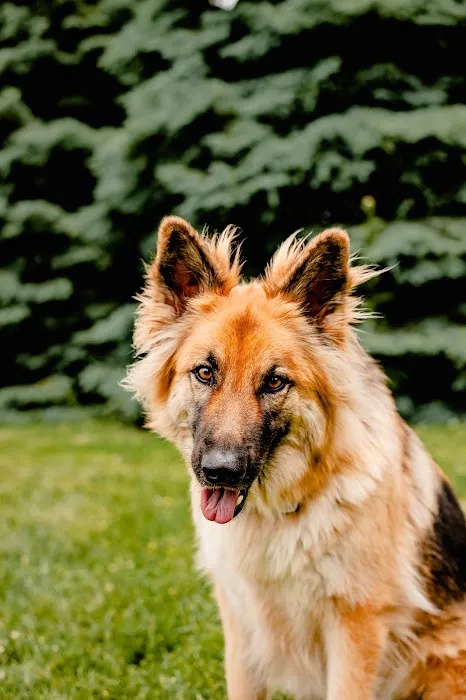 Taylor Animal Hospital Of Smithville Picture 8