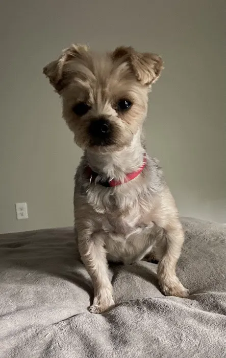 Taylor Animal Hospital Of Smithville Picture 7