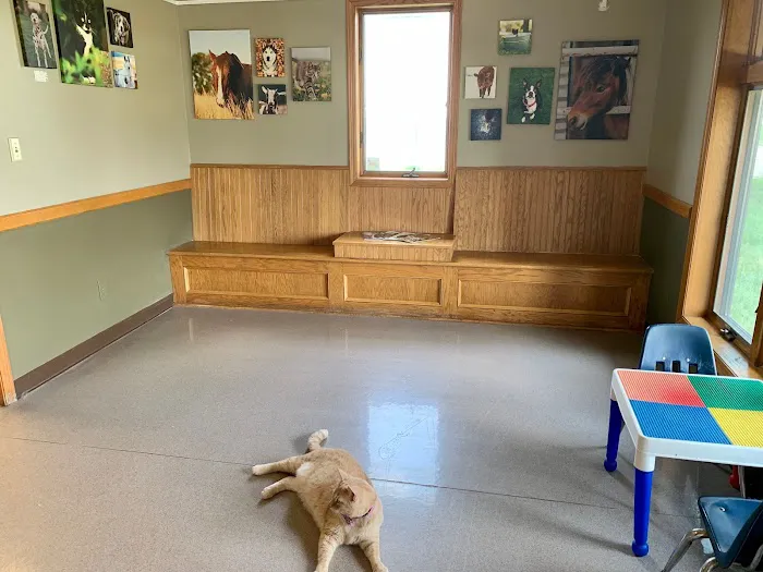 Taylor Animal Hospital Of Smithville Picture 9