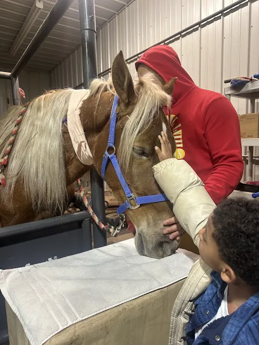 Brisbane Veterinary Services Picture 7