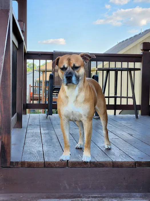 Premier Veterinary Care Picture 6