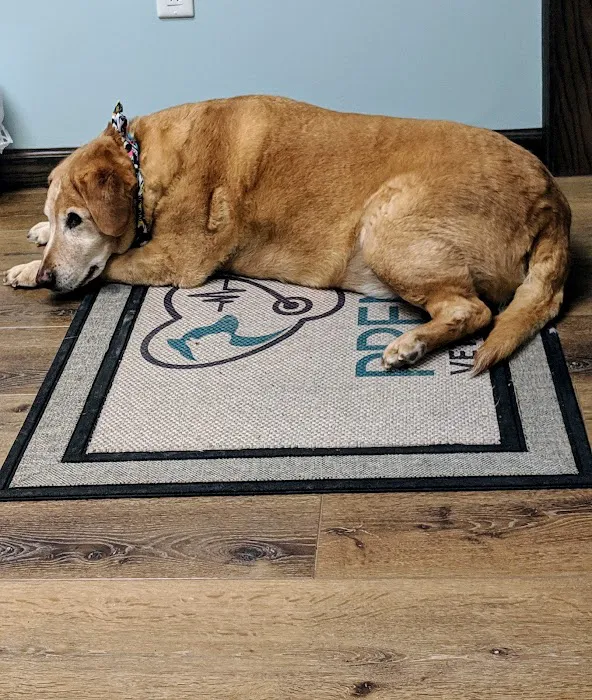 Premier Veterinary Care Picture 10