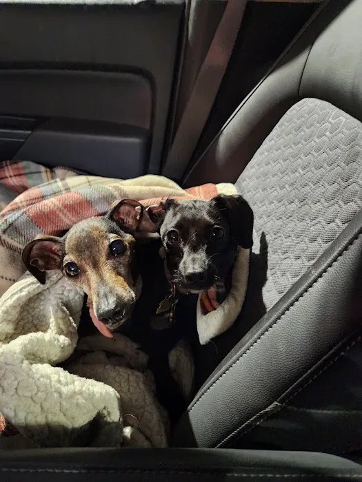 Eagle Animal Hospital at Liberty Picture 5