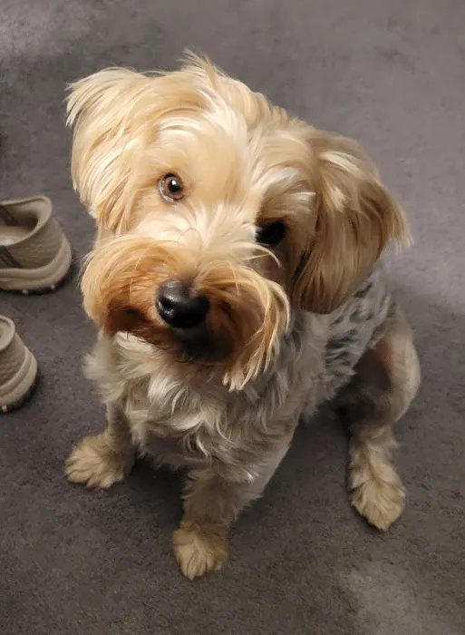 Eagle Animal Hospital at Liberty Picture 8