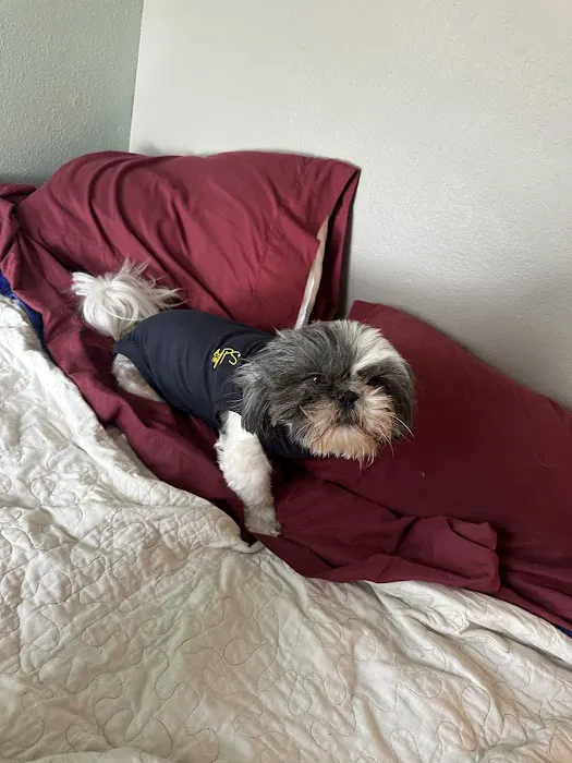 Eagle Animal Hospital at Liberty Picture 9