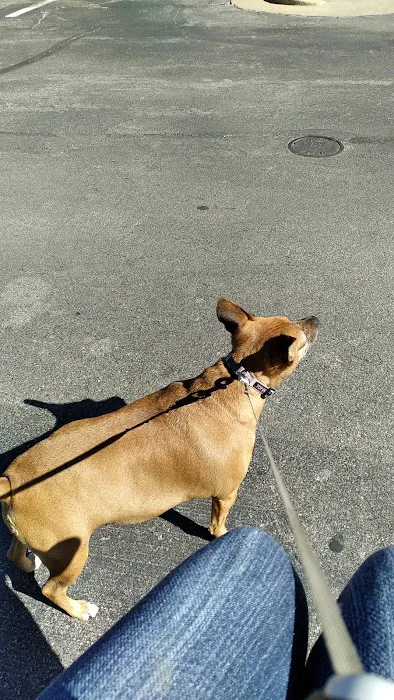 Veterinary Center of Liberty Picture 5