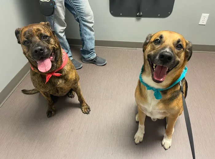 Veterinary Center of Liberty Picture 4