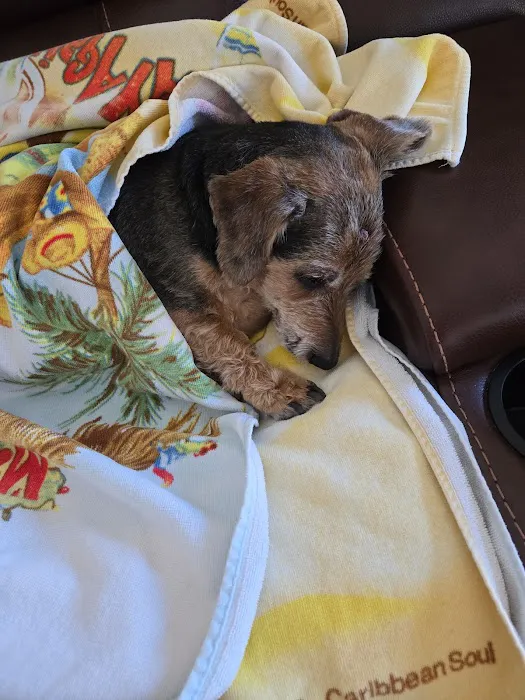 Veterinary Center of Liberty Picture 3