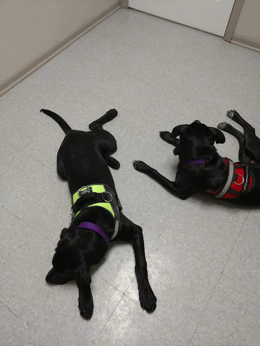 Veterinary Center of Liberty Picture 8