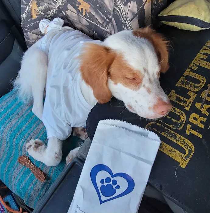 Veterinary Center of Liberty Picture 6