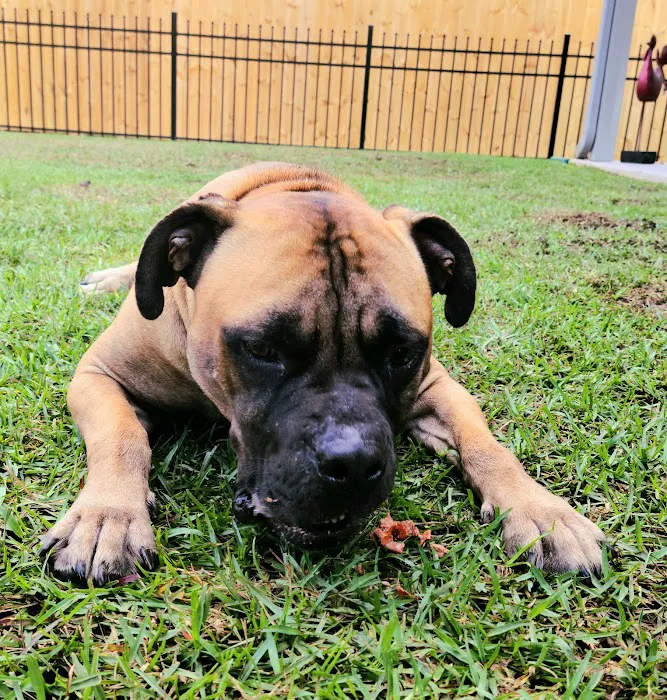 Veterinary Center of Liberty Picture 10