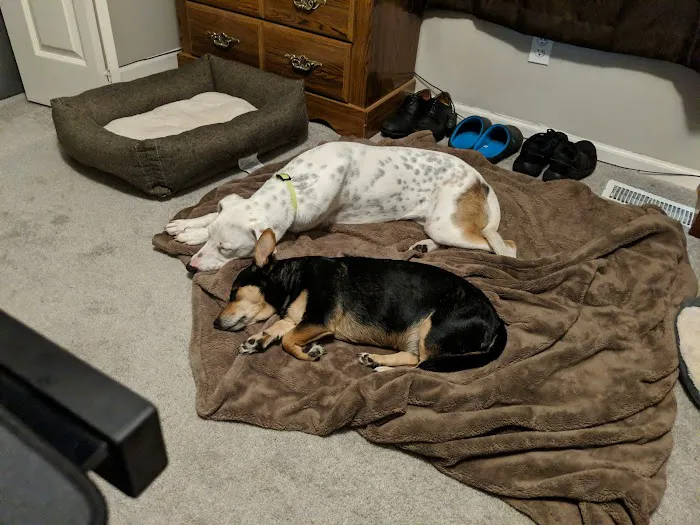 Ark Animal Hospital Picture 1