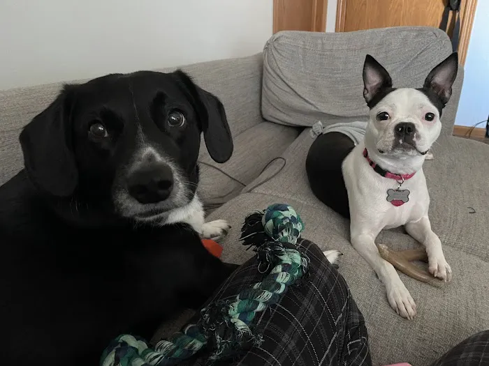 Ark Animal Hospital Picture 6