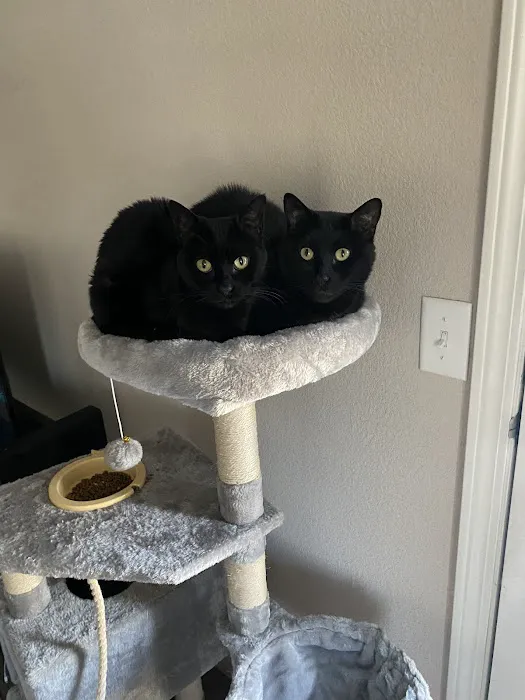 Ark Animal Hospital Picture 3