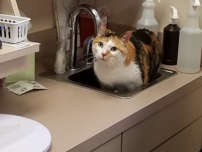 Ark Animal Hospital Picture 5