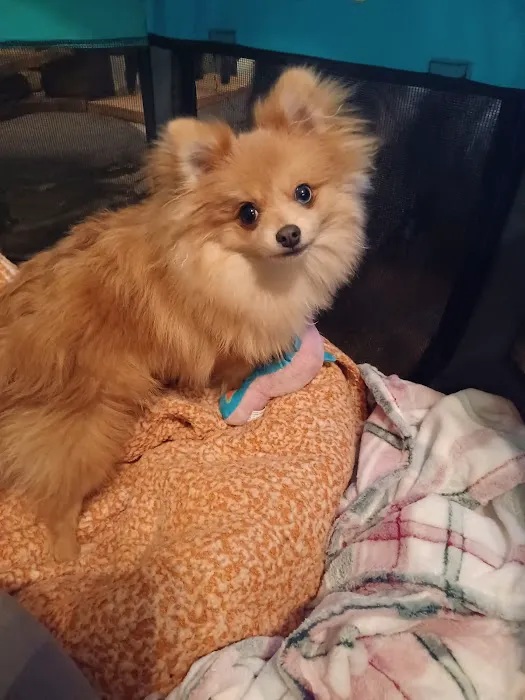 Ark Animal Hospital Picture 9