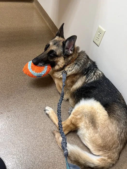 Ark Animal Hospital Picture 7