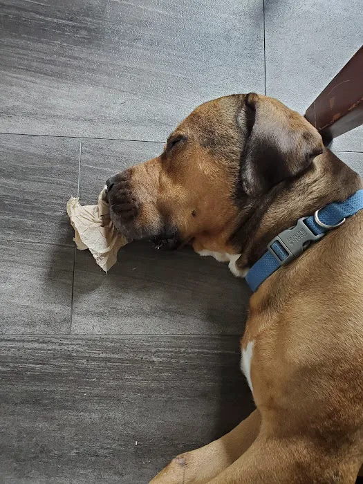 Ark Animal Hospital Picture 8