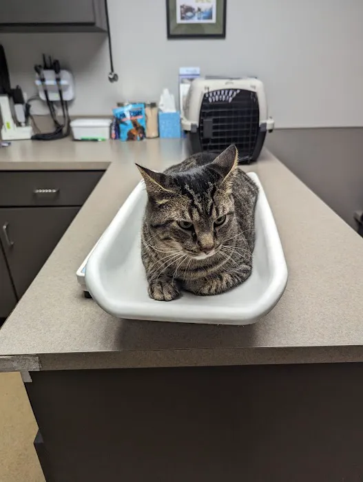 Crossroads Animal Hospital Picture 1