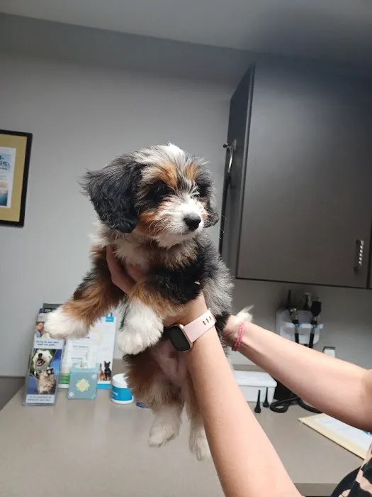 Crossroads Animal Hospital Picture 2