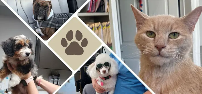 Crossroads Animal Hospital Picture 4