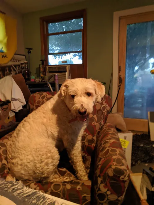 Crossroads Animal Hospital Picture 3