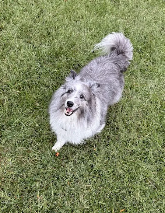 Crossroads Animal Hospital Picture 6