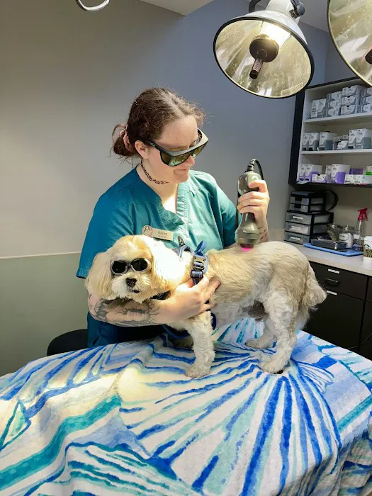 Crossroads Animal Hospital Picture 5