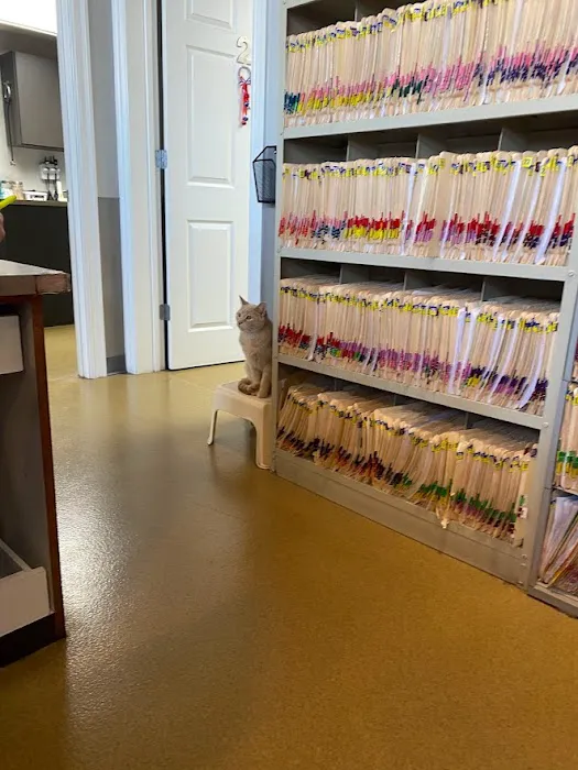 Crossroads Animal Hospital Picture 10