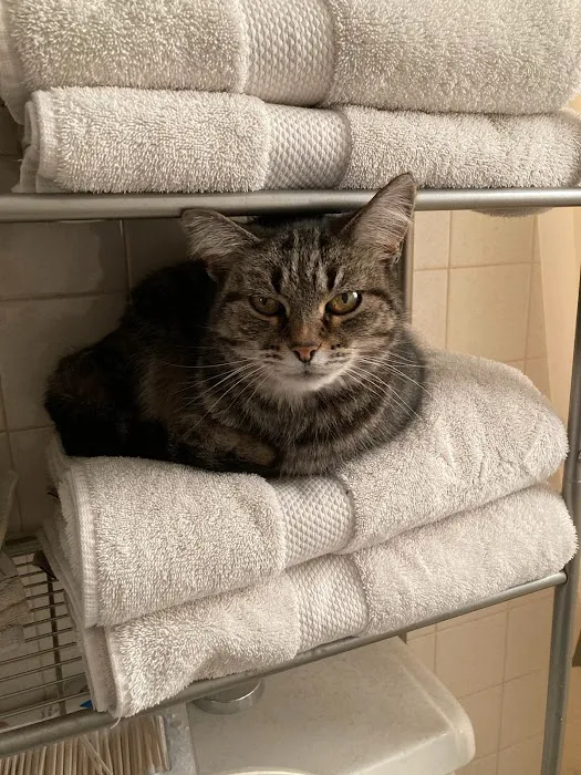 Renfro Veterinary Services Picture 2