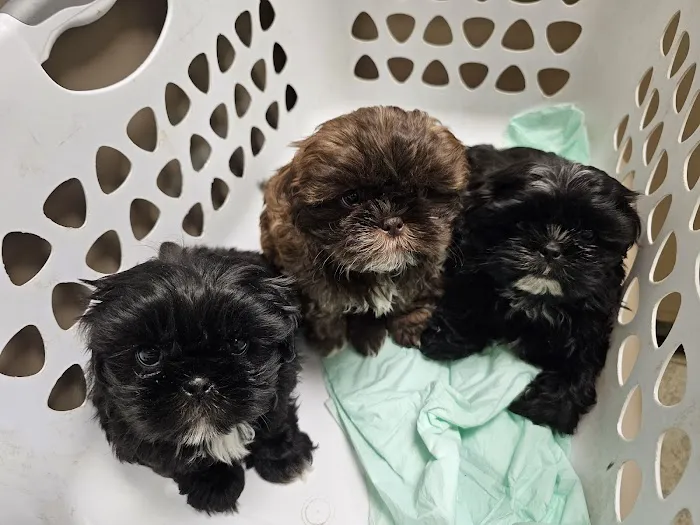 Renfro Veterinary Services Picture 7