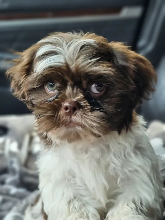 Renfro Veterinary Services Picture 6