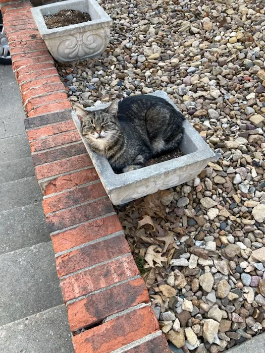 Renfro Veterinary Services Picture 3