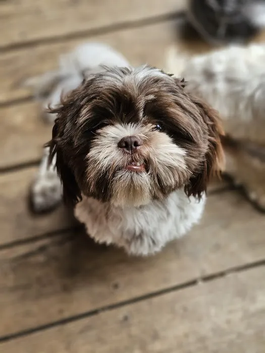 Renfro Veterinary Services Picture 10