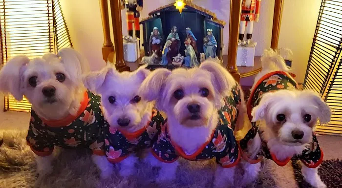 Tails West Animal Clinic Picture 2