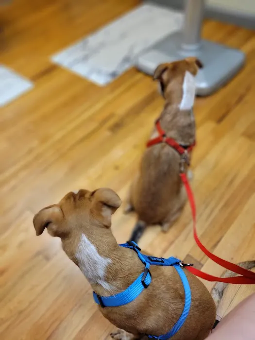 Tails West Animal Clinic Picture 4