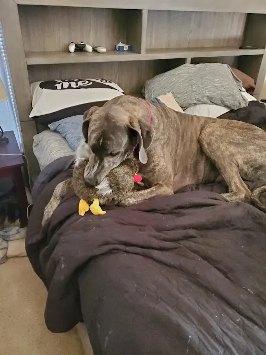 Tails West Animal Clinic Picture 5