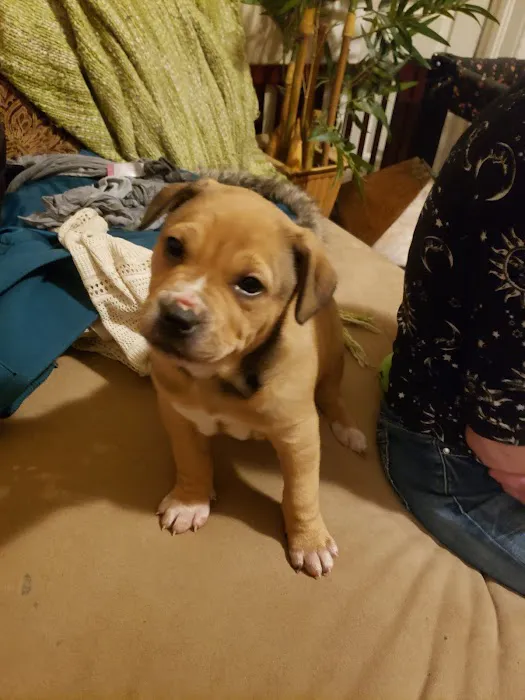 Tails West Animal Clinic Picture 10