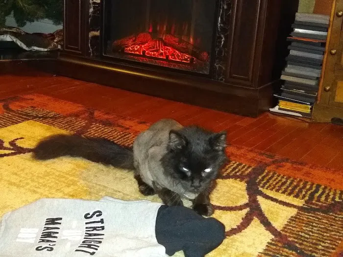 Tails West Animal Clinic Picture 8