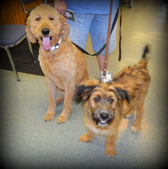 Odessa Animal Clinic Picture 1