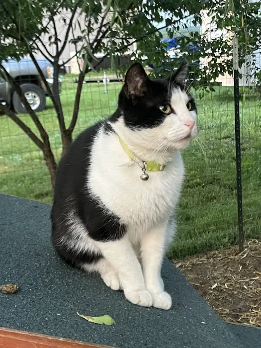 Odessa Animal Clinic Picture 5