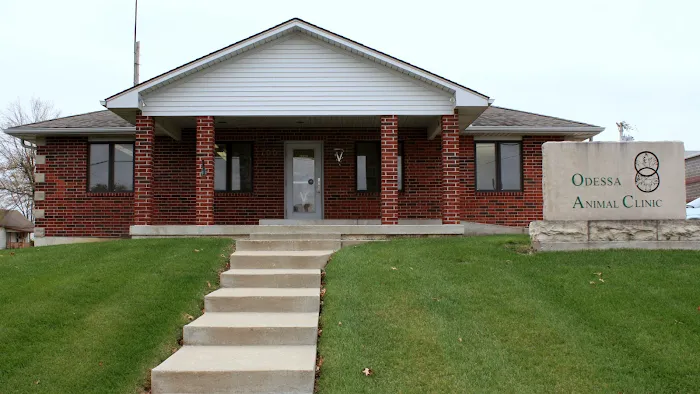 Odessa Animal Clinic Picture 9