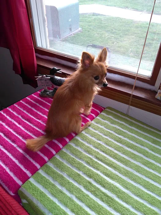 Scott J B DVM Picture 1