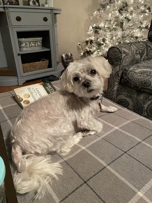 Furry Kids Wellness & Urgent Care - MERGED WITH SOUTHWEST ANIMAL HOSPITAL Picture 6