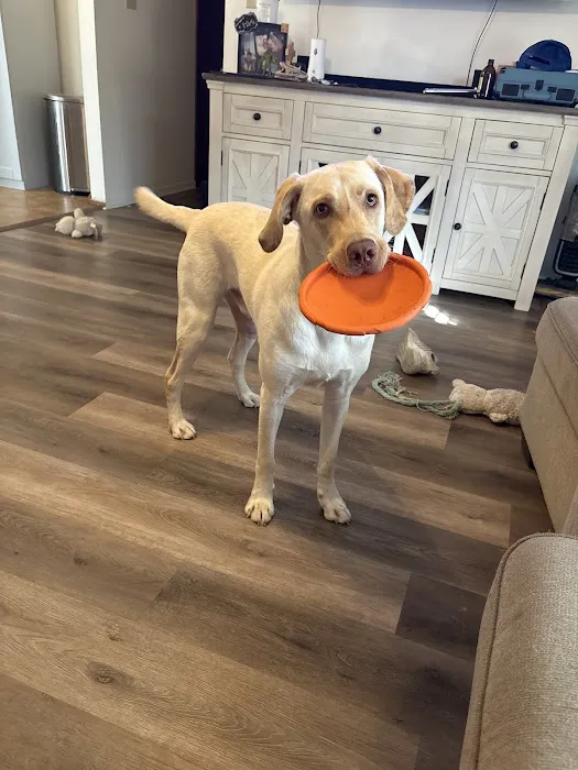 Animal Medical Center of Jefferson City Picture 2