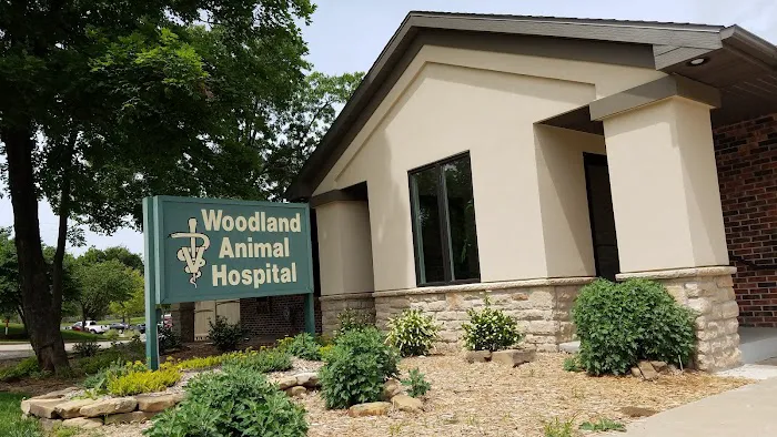 Dr. Alice Groner Picture 1