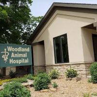 Dr. Alice Groner ico